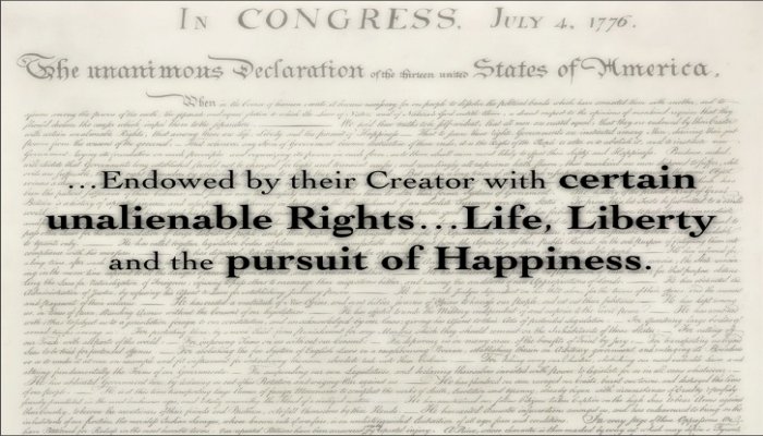 Declaration of Independence Unalienable Rights | Common Law | The Unjust Justice System